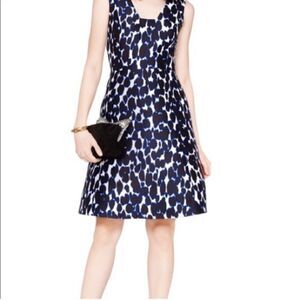 Kate spade New York de baring deep indigo fit & flare leopard 10 NWT